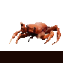 crab-rave.gif
